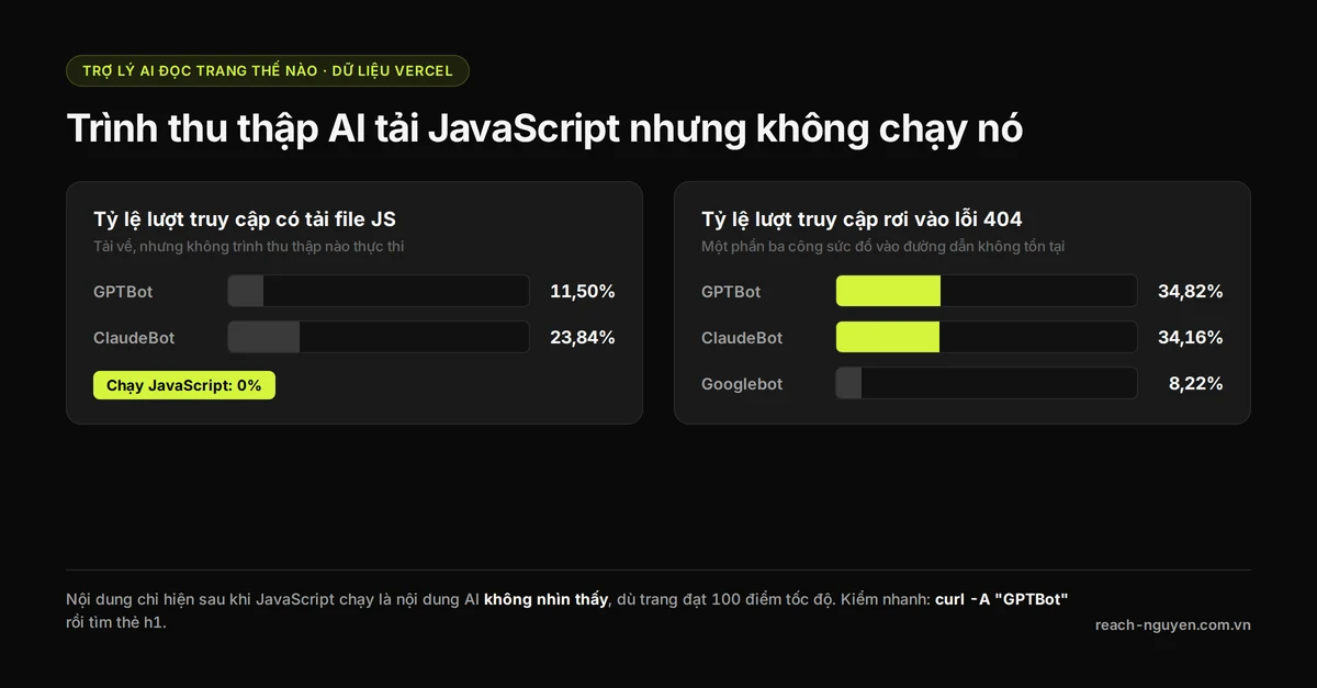 Sơ đồ cho thấy GPTBot tải JavaScript trong 11,50% lượt truy cập và ClaudeBot 23,84% nhưng không thực thi, cùng tỷ lệ lỗi 404 là 34,82% so với 8,22% của Googlebot